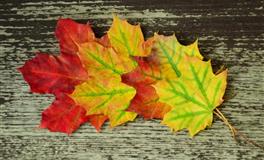 最塔罗巨蟹座一周运势(4.11-4.17)