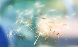 你的真命天子/真命天女出现了么？