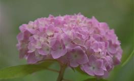 最塔罗射手座一周运势(4.11-4.17)