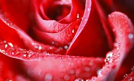 今天就来揭开12星座的“虚伪”假面