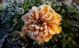 宿命爱情心测：前任好、现任好，还是下一任更好？