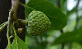 静电鱼金牛座一周运势(4.18-4.24)