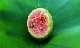 静电鱼双鱼座一周运势(4.18-4.24)