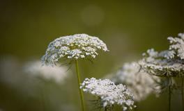 Kiddo处女座一周运势（4.25-5.1）