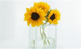 苏珊米勒每日运势2022年4月27日