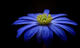 Kiddo处女座一周运势（4.4-4.10）