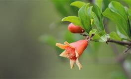 唐绮阳2022年4月感情运势