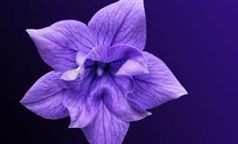 杀破狼天蝎座一周运势(4.11-4.17)