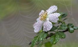 喜欢刁难自己的自我挫败型星座