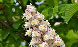 静电鱼处女座一周运势(4.11-4.17)