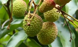 Pandora占星小巫天蝎座2022年4月运势