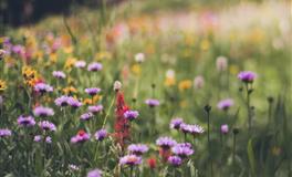男生抢着要的三个星座女，一个长得美，一个有气质，一个最旺夫