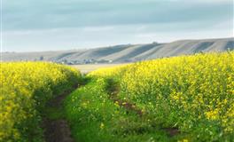 12星座女气质不同，各有迷人之处，你属于哪一类型？