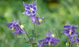 越老越有钱的三大星座，注定幸福一辈子