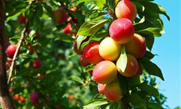 判答魔羯座2022年5月运势