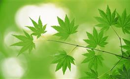 如果不爱了，宁愿拖着也不愿主动说分手的人渣星座