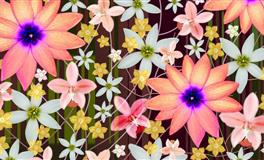 再苦再累也不抱怨，最有骨气的生肖女