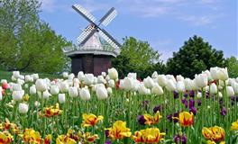 交友当交这三大星座，一个人品好，一个重情义，一个最靠谱！