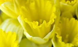 说翻脸就翻脸的三个星座，生性凉薄，心唔不热！