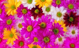 讲良心懂得感恩的三大星座，你对他好，他会对你更好