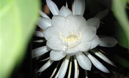 苏珊米勒每日运势2022年4月30日-5月1日