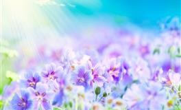 表扬一下！那些工作中执行力最强的星座