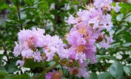 注定最难驾驭的三大星座，一个最闷骚，一个最花心，一个脾气臭！