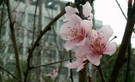 感情兜兜转转，忘不了对旧爱深情的星座