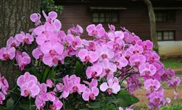 月光族一名，活在当下不考虑攒钱的星座