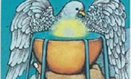 爱莎公主射手座一周运势（5.2-5.8）