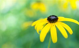 爱莎公主白羊座2022年5月运势