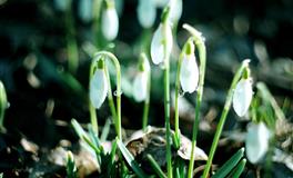 神叨酱心灵疗愈指引2022年5月5日