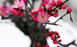 神叨酱心灵疗愈指引2022年5月17日