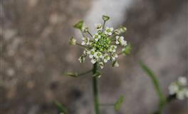 柒爸金牛座一周运势 （5.16-5.22）