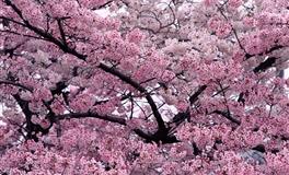 神叨酱心灵疗愈指引2022年5月24日