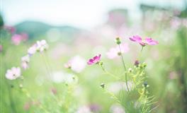 苏珊米勒2022年5月摩羯座运势完整版