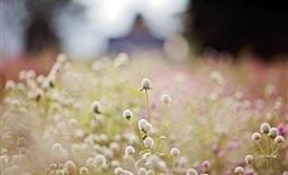 苏珊米勒每日运势2022年5月3日