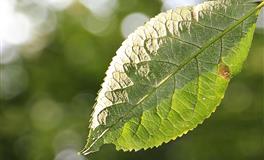 苏珊米勒每日运势2022年5月20日