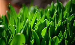 娜迪亚天蝎座本周运势（5.30-6.5）