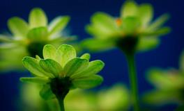 闹闹女巫店魔羯座一周运势(5.16-5.22)