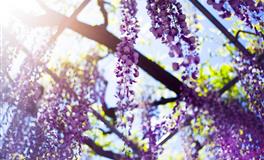 Alex天蝎座一周运势（5.30-6.5）