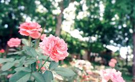 裴恩天蝎座2022年5月事业运势