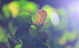 2022年5月！金木入白羊，十二星座【好运转折】大排行