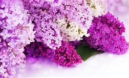 星座女神白羊座一周运势(5.30-6.5)