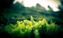 杀破狼天秤座一周运势(5.23-5.29)