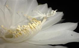 花甜天秤座2022年6月运势