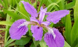 爱莎公主一周星座运势（5.9～5.15）