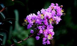 苏珊米勒每日运势2022年5月9日