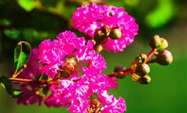 杀破狼金牛座一周运势(5.16-5.22)