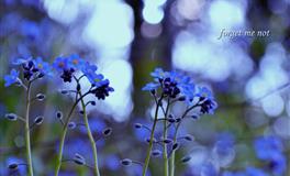 杀破狼双鱼座一周运势(5.16-5.22)